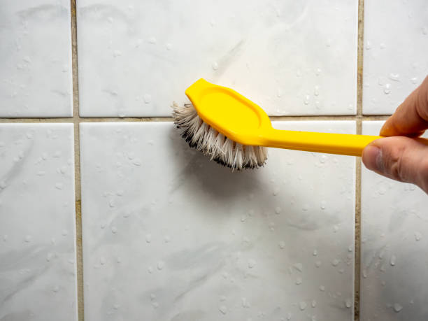 Best Residential Mold Removal  in Country Knolls, NY