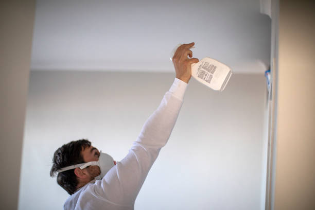Best Attic Mold Removal  in Country Knolls, NY