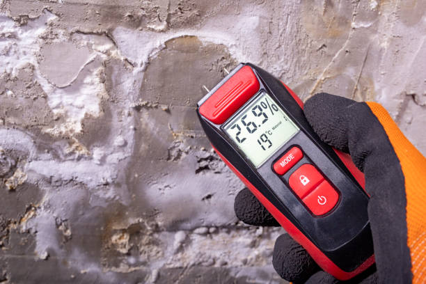 Certified Mold Removal in Country Knolls, NY